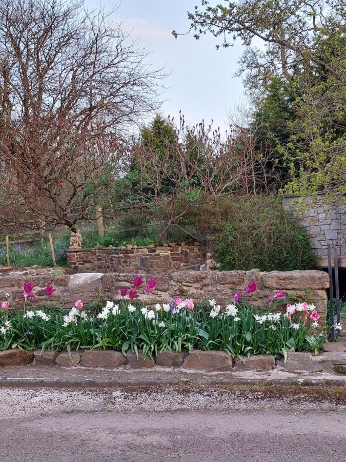 The Millers Cottage Okehampton Bagian luar foto