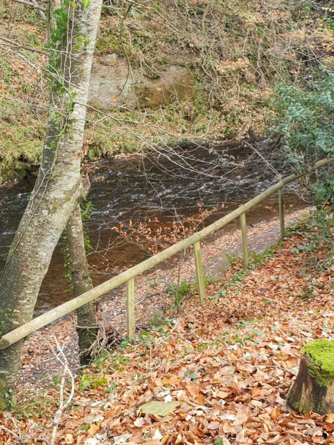 The Millers Cottage Okehampton Bagian luar foto