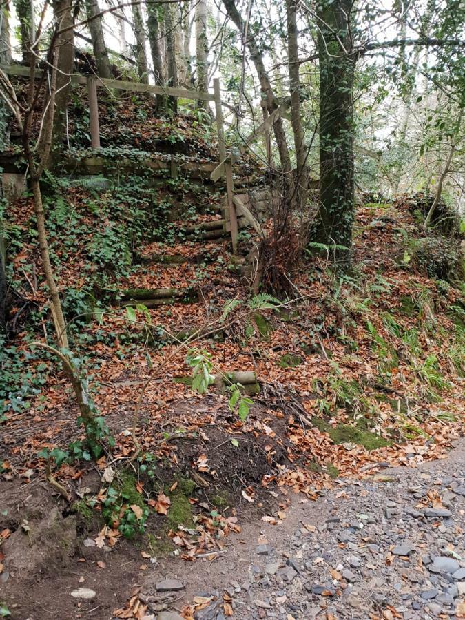 The Millers Cottage Okehampton Bagian luar foto