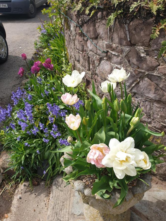 The Millers Cottage Okehampton Bagian luar foto